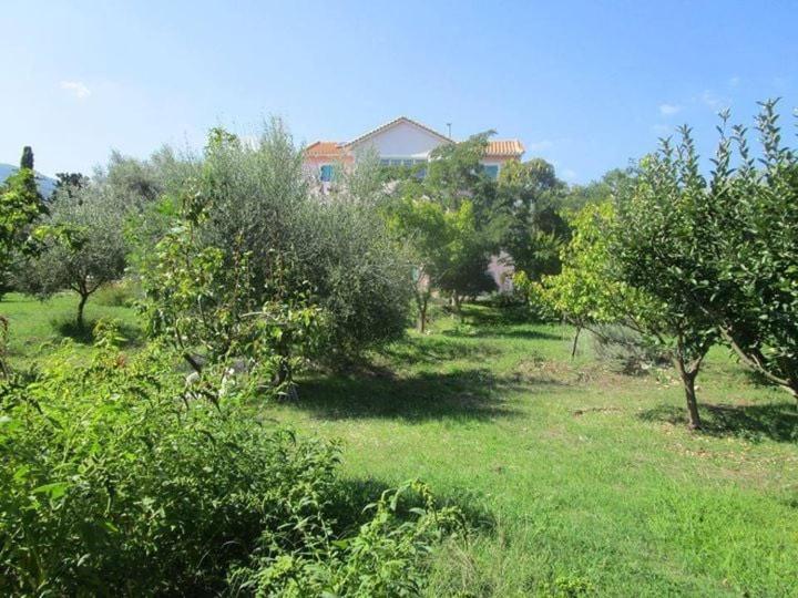 Zeus And Hera Apartments Nikiana Dış mekan fotoğraf